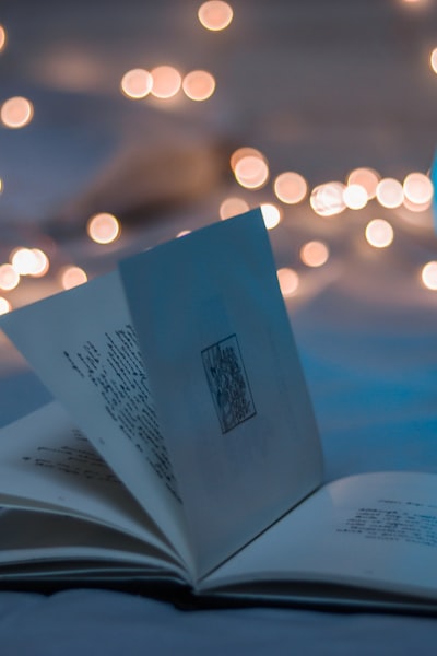 美剧《最后生还者》末日生存剧，佩德罗·帕斯卡主演